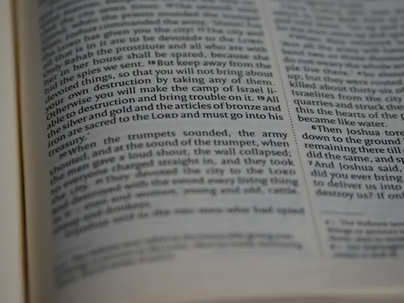 TopTally Kaszinó Támogatás